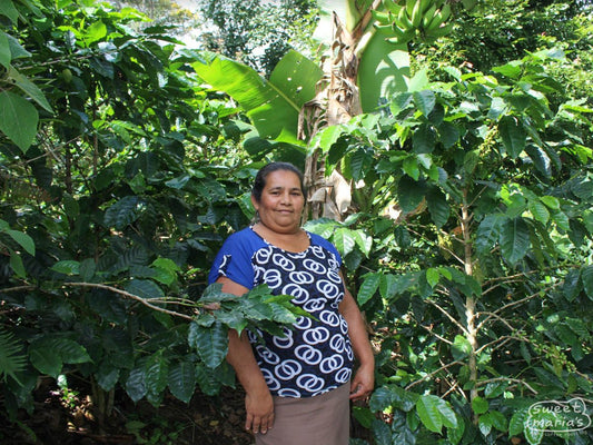 Maria Isabel